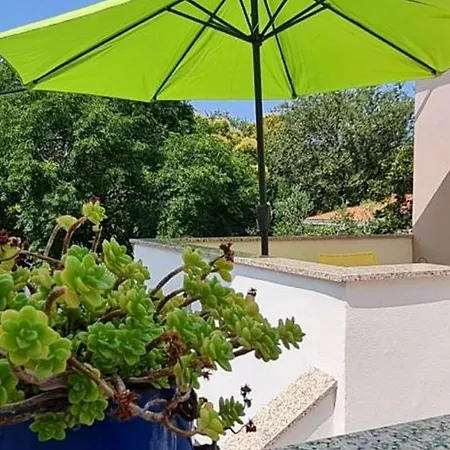 Apartments Studio Zaton Appartamento *