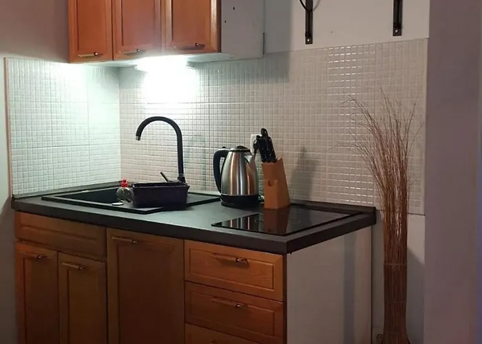 Апартаменты Apartments Studio Zaton Затон